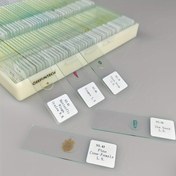 Resim 100 Adet Hazır Mikroskop Slaytları Yüksek Kaliteli Bitki Hayvan İnsan Doku Örneği Dilimi 