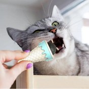 Resim neararsanbizden DONDURMA ŞEKLİNDE KEDİ NANESİ KEDİ OTU 