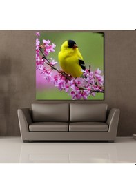 Resim Sarı Kuş Kanvas Tablo 200x200cm 