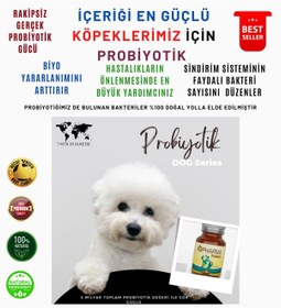 Resim Rb Pharma Çok Güçlü Probiyotik 80 G 