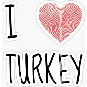 Resim Tsc 16 cm I Love Turkey Yapıştırma Etiket Araba Cam Md4 