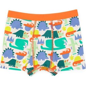 Resim U.S. Polo Assn. Erkek Çocuk 3'lü Boxer Takım 50319387-VR036 