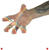 Resim markentegra El ve Ön Kol Gücü Geliştirme Egzersiz Seti 