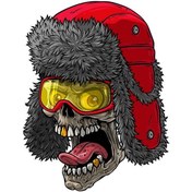 Resim Kuru Kafa Kurukafa Ski Kayak Kar Şapkası Çıkartma Sticker 01023 