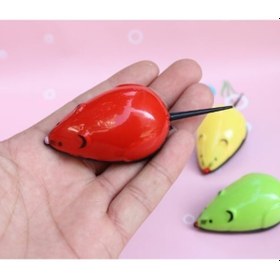 Resim Çek Bırak Kedi Oyuncağı Fare 