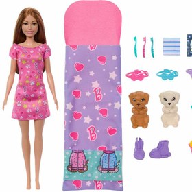 Resim Barbie ve Köpekçikleri Pijama Partisi Oyun Seti HXN01 