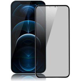 Resim iPhone Uyumlu 12 Pro Nettech Ön Koruma Hayalet Seramik Nano Siyah (551973233) 