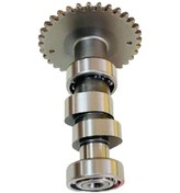 Resim Agility 125 Eksantrik Mili Moto11 