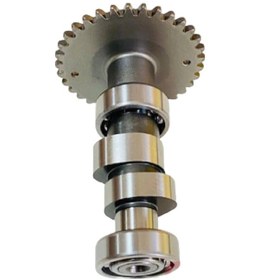 Resim Agility 125 Eksantrik Mili Moto11 