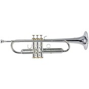 Resim Roy Benson TR-CGS Charlie Green Signature Trompet 