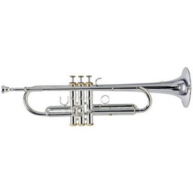 Resim Roy Benson TR-CGS Charlie Green Signature Trompet 