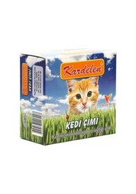 Resim Kardelen Kedi Çimi 