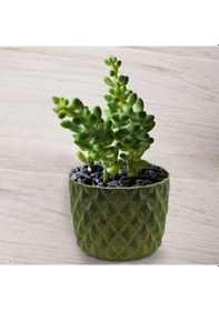 Resim Beton Saksı Silikon Kalıp - 157 