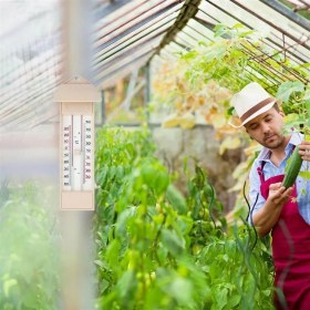 Resim TFA '3 Adet' Tfa 10.3015.03 Plastik Maksimum-Minimum Termometre 