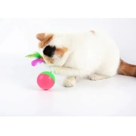 Resim Hediye Bahçesi Kedi Fare Hacıyatmaz Oyunu 