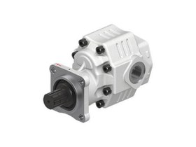Resim 30 Serisi ISO Platinum Dişli Pompalar 