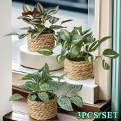 Resim 3 adet Set Yapay Sarmaşık ve Çiçekli Yapraklı Saksı Bitkileri - Yeşil Biberiye, Fittonia ve Zebra Bitkisi Süslemeleri, Dokuma Sepetler, Polyester Malzeme, Ev, Bahçe ve Parti Süslemeleri için Mükemmel, İç ve Dış Mekan Kullanımı, Parti Süslemeleri | Doğal Estetik | Dayanıklı Polyester, Yapay Bitkiler 