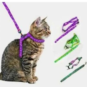 Resim Near Shop Kedi Tasması 