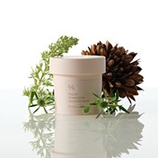 Resim Dr.Ceuracle - Vegan Kombucha Tea Sleep Mask (Kombuçalı Uyku Maskesi) 100ml (%40 indirimli) 