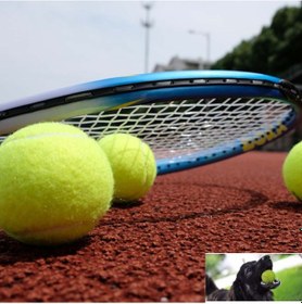 Resim 3 Adet Tenis Topu Köpek Oyun Topu 