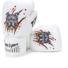 Resim Titan Sport Pençeli Pitbull Spr-2502 Model Boks Eldiveni Çok Renkli 