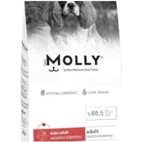 Resim Molly Mini Adult Kuzu Etli Yaban Mersinli Yetişkin Köpek Maması 2 KG 