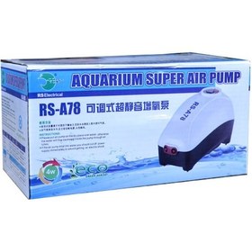 Resim RS Hava Motoru Çift Çıkışlı 5 Ltmin 4 W 