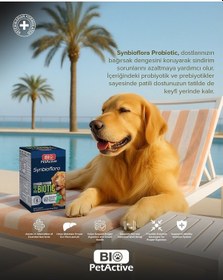 Resim Bio Petactive Biotic Probiyotik Prebiyotik Büyük Orta Irk Köpek 60 Tablet 