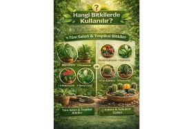 Resim Plant Home Power Mix Bitki ve Kaktüs Toprağı Seti 10 L | Organik Cocopeatli | Salon Bitkileri ve Kaktüsler Için 