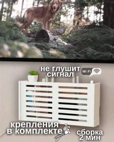 Resim Komzhalov Yönlendirici Kutusu 196767900 