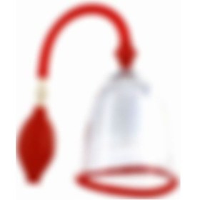 Resim Red Fox Göğüs Pompası 