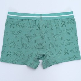 Resim Toontoy Kids Toontoy Erkek Çocuk Hayvan Figürlü 4lü Paket Boxer Çok Renkli 