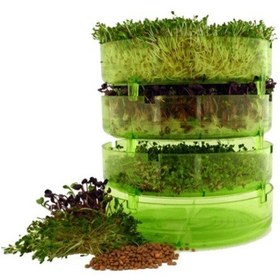 Resim GEO Filizlendirme Rafları 