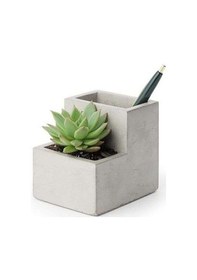 Resim Kikkerland Concrete Beton Saksı Kalemlik Küçük Boy 