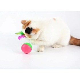 Resim Nm-store Kedi Fare Hacıyatmaz Oyunu 