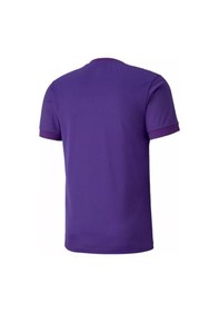 Resim Puma Teamgoal 23 Jersey Erkek Futbol Forması 70417110 Mor 