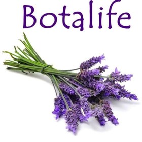 Resim Botalife %100 Saf Doğal Çam Terebentin Yağı 50 ml Ispartamdan 