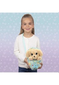 Resim Sesli Peluş 20 Cm Krem 