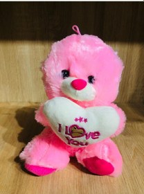 Resim Peluş Ayı Seni Seviyorum Yazılı I Love You Pembe Karışık 