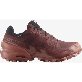 Resim Salomon SPEEDCROSS 6 GORE-TEX Kadın Koşu Ayakkabısı Rum Raisin L47584300 