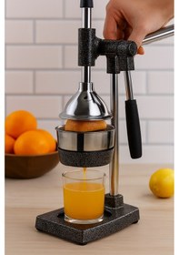 Resim Minisan Mns-506 Profesyonel Sanayi Tipi Kollu Meyve Presi 