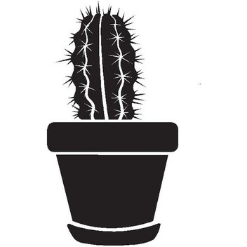 Lumaworld Transparent Orta Boy S Tasarım Akrilik Bitki Filesi