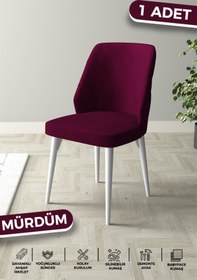 Resim Haus concept Bella Serisi 1.sınıf Babyface Silinebilir Kumaş Mürdüm Sandalye Beyaz Gürgen Ayak 