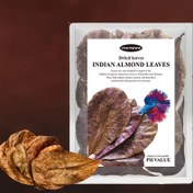 Resim 5/10/15/20 Adet - Akvaryum Filtrasyonu için Badem Yaprağı, Su Kalitesini Düzenleme ve pH Değerini Düşürme Özelliği ile Hafif Asidik Suya Sahip, Özellikle Discus, Betta ve Arowana Balıkları İçin Uygun 