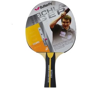 Resim Butterfly Werner Schlager Sılver Masa Tenisi Raketi 85070 