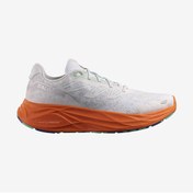 Resim Salomon AERO GLIDE 2 Erkek Koşu Ayakkabısı White L47573900 
