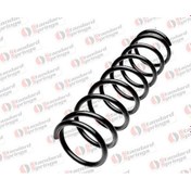 Resim STANDART YAY ST 110021R Arka Helezon (Takim) Focus 98-04 1110560 ST110021R (WM839252) (Fiyat:2 Adet İçindir) 
