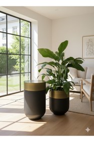 Resim filori dizayn Darbuka Eskitme Gold - Siyah Saksı ve Sehpa 