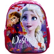 Resim Mikro Anaokulu Çantası 48034 Frozen Hawk Jr My Destiny-Otto-48034 