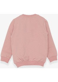 Resim Breeze Kız Çocuk Sweatshirt Ayıcık Aksesuarlı 1.5-5 Yaş, Somon (556838394) Çok Renkli 